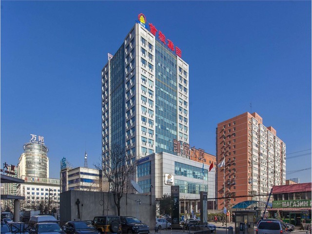 滨湖区绿萝绿植零售同城配送